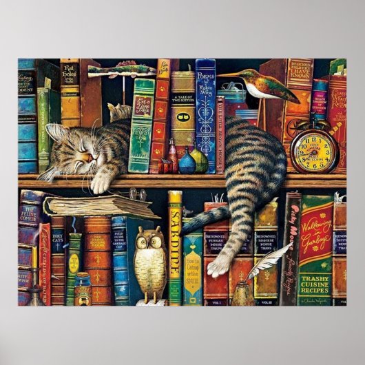 Kat uit de boekenkast poster (Voorkant)