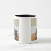 Kat uit de kom mok (Midden)