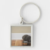 Kat uit de kom sleutelhanger (Voorkant)