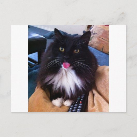 Kat uit de tongen briefkaart (Voorkant)