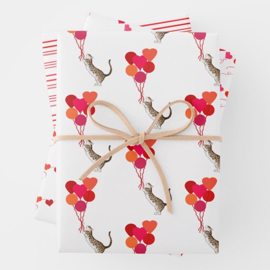 Kat Valentijns Rood, Roze en Wit Inpakpapier Vel (In situ)