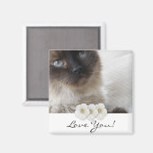 Kat van Blue Eye Magneet (Voorkant / Achterkant)