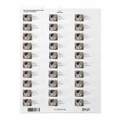 Kat van boomklimmen | ABSTRACT | WATERVERF Etiket (Full Sheet)