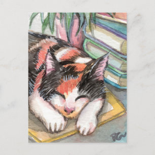 Kat van de Boeken Briefkaart