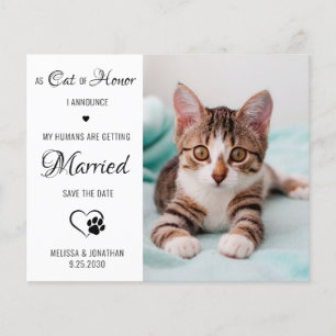 Kat van de foto van Honor Pet, sla de datumkaarten