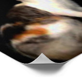 Kat van de moeder van Whistler Poster (Hoek)