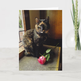 Kat van de schildpad en nam Wenskaart toe Kaart