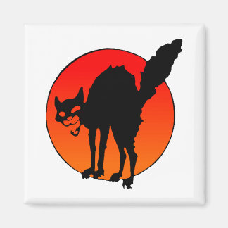 Kat van de Syndicalist Magneet