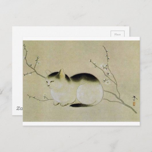 Kat van Hishida Shunso Briefkaart (Voorkant / Achterkant)