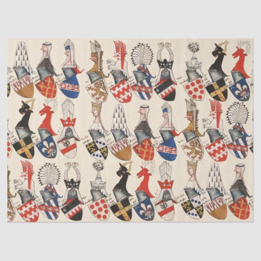 KAT VAN KARMEN VAN PARTECIPANTEN VOOR DE MIDDELGRO TISSUEPAPIER (Voorkant)