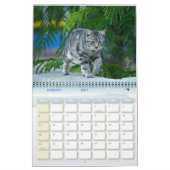 Kat van Malta - Kalender 2023 (Jan 2027)