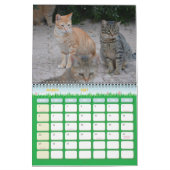 Kat van Malta - Kalender 2023 (Mar 2027)