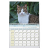 Kat van Malta - Kalender 2023 (Feb 2027)