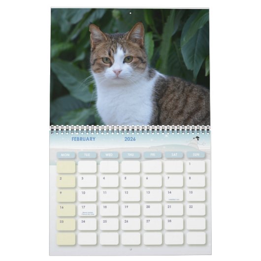 Kat van Malta - Kalender 2023 (Feb 2026)