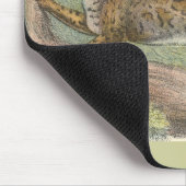 Kat van marmering, Felis marmorata Muismat (Hoek)