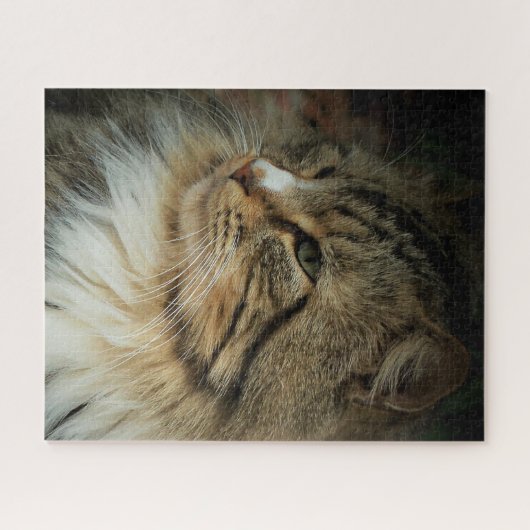 Kat van Noorse bosgrond Legpuzzel (Horizontaal)