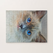 Kat van Siamese met blauwe ogen Legpuzzel (Horizontaal)