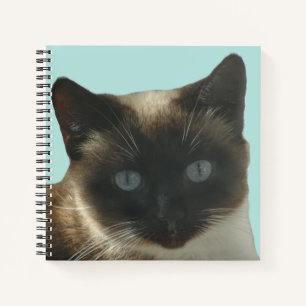 Kat van Siamese met Notitieboek van Bright Blue Ey