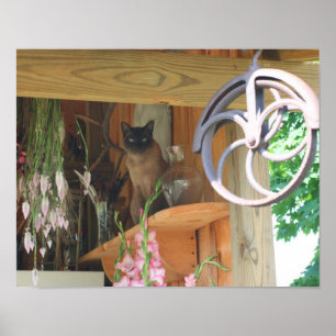 Kat van Siamese op schelpdieren Poster