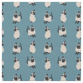 Kat van Siamese Stof (Close Up)