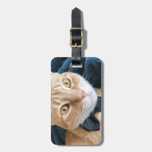 Kat van stropdas bagagelabel (Voorkant verticaal)