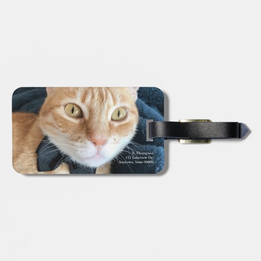 Kat van stropdas bagagelabel (Achterkant horizontaal)