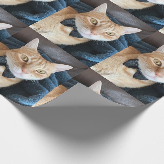 Kat van stropdas cadeaupapier (Hoek)