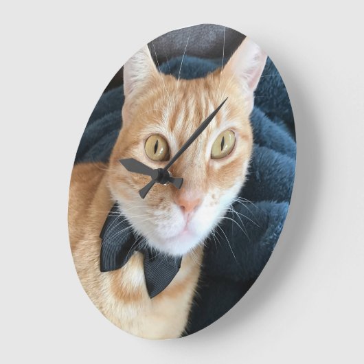 Kat van stropdas grote klok (Hoek)