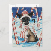 Kat van suikerriet briefkaart (Voorkant / Achterkant)