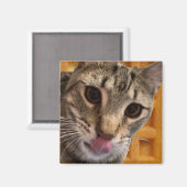 Kat van wafels magneet (Voorkant / Achterkant)