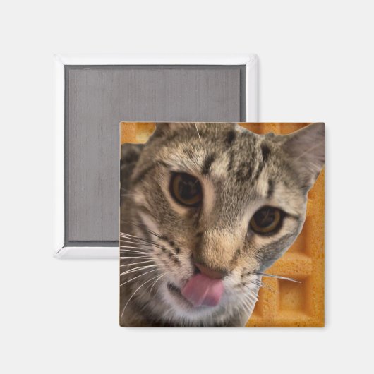 Kat van wafels magneet (Voorkant / Achterkant)