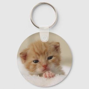 Kat van zoete puppy sleutelhanger
