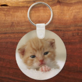 Kat van zoete puppy sleutelhanger (Voorkant)