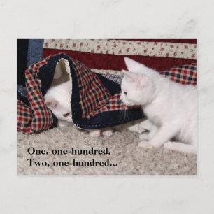 Kat Verbergen-en-zoeken Humor Post Card Briefkaart