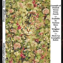 Kat Verborgen in een Bloemenweide EX3 Decoupage
