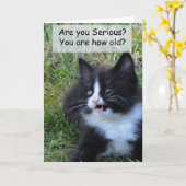 Kat Verjaardag Kaart - Grappig!! (Gele Bloem)