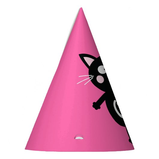 kat verjaardagsfeestje feesthoedjes (Links)