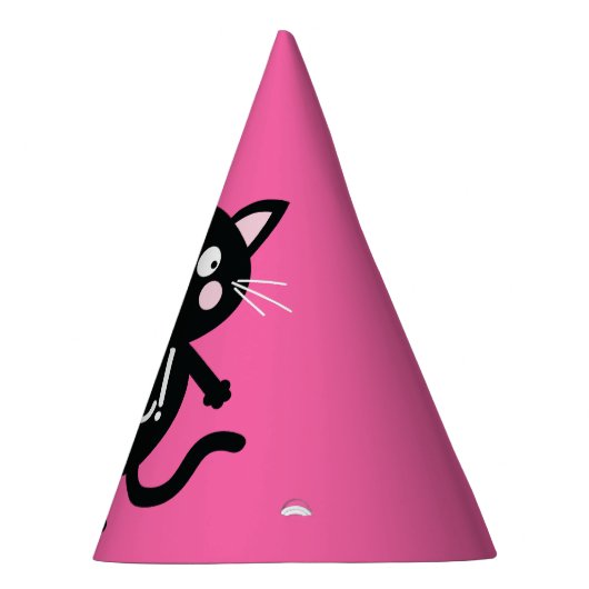 kat verjaardagsfeestje feesthoedjes (Rechts)