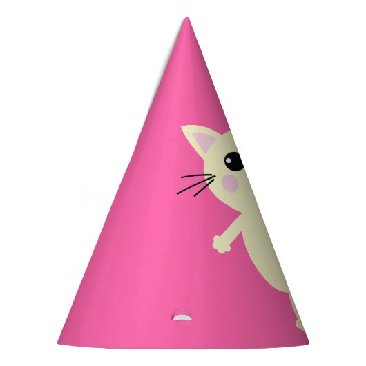 kat verjaardagsfeestje feesthoedjes (Links)