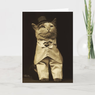 Kat verkleed uit 1906  Wenskaart Kaart