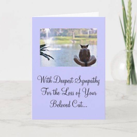 Kat verlies van Pet Sympathy Card Kaart (Voorkant)