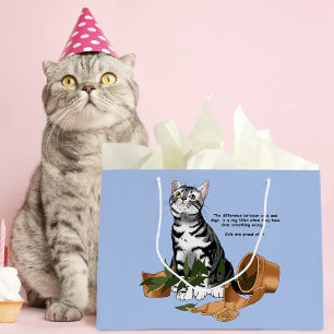 Kat veroorzaakt onheil groot cadeauzakje