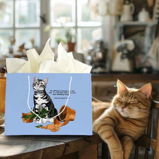 Kat veroorzaakt onheil groot cadeauzakje