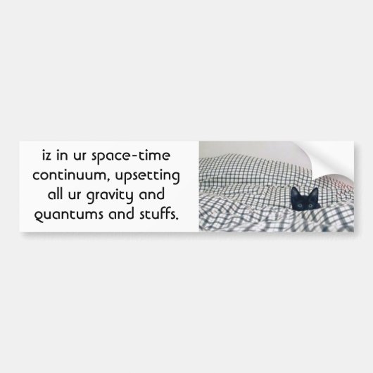 kat verstoort kwantum bumpersticker (Voorkant)