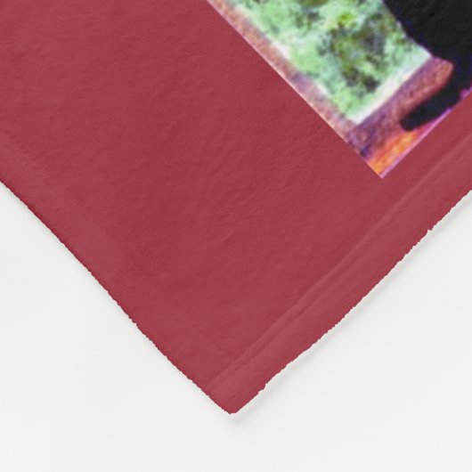 Kat Verzamelen van zwarte katten Fleece Deken (Hoek)