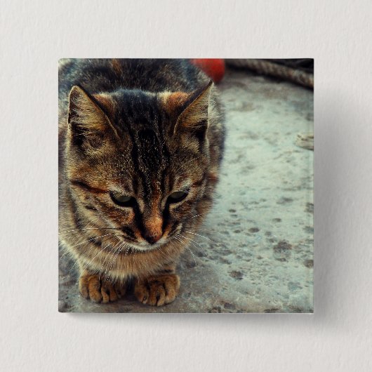 Kat Vierkante Button 5,1 Cm (Voorkant)
