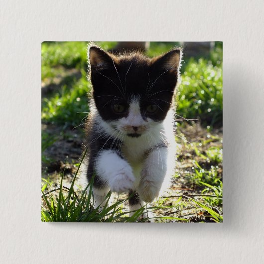 Kat Vierkante Button 5,1 Cm (Voorkant)