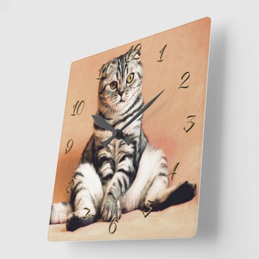 Kat Vierkante Klok (Hoek)