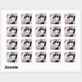 Kat Vierkante Sticker (Vel)