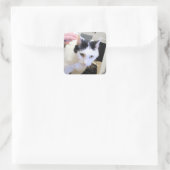 Kat Vierkante Sticker (Tas)